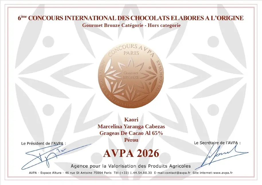 diploma-bronce